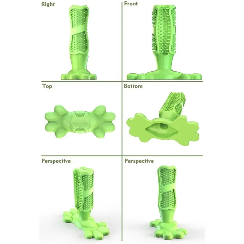 PawCactus – Interactive Rubber Chew Toy