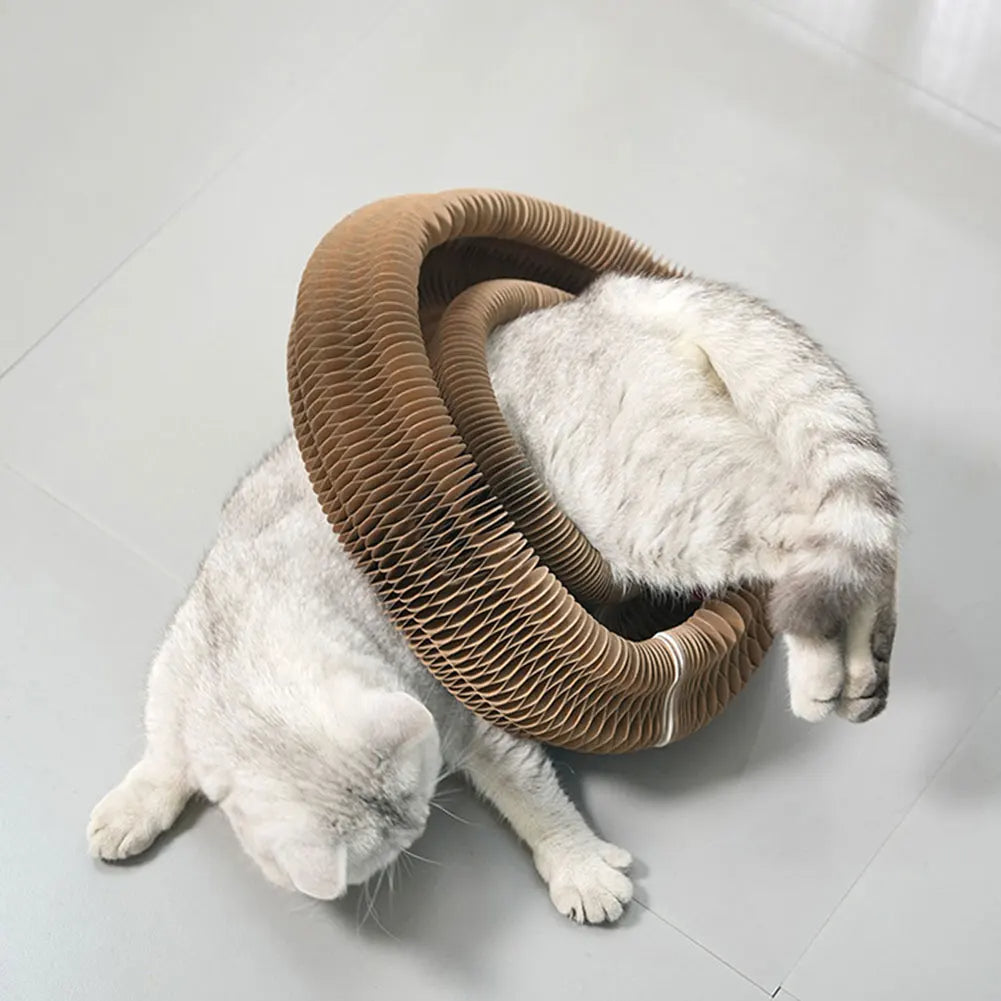 ClawMaze – Interactive Cat Scratching Toy