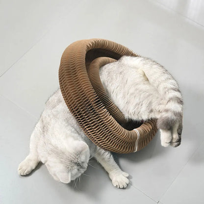 ClawMaze – Interactive Cat Scratching Toy