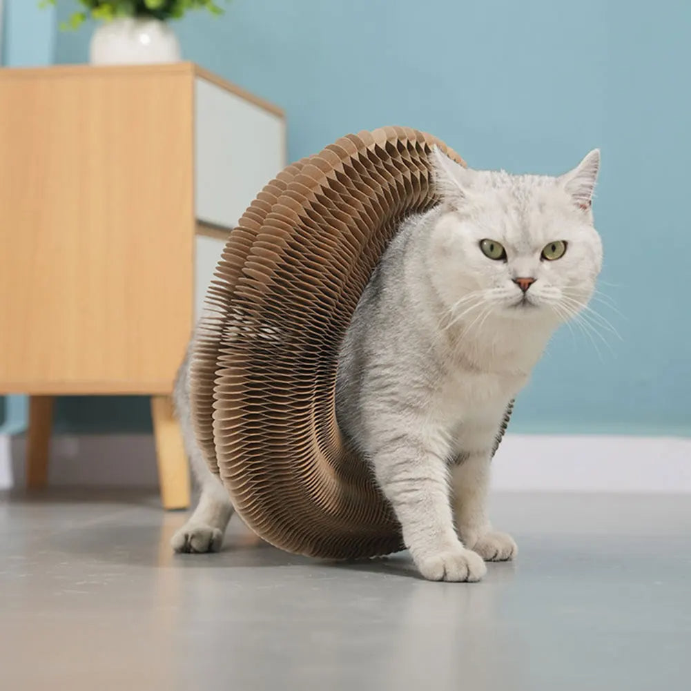 ClawMaze – Interactive Cat Scratching Toy