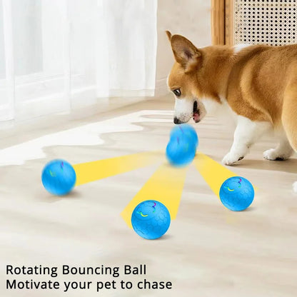LumiPaw – Smart LED Dog Ball