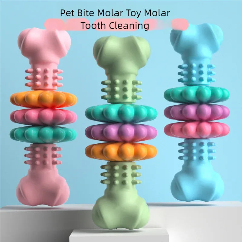 ChewChomp – Meaty Bone Dog Toy Set