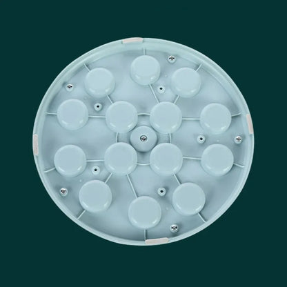 FeediQuest – Interactive Slow Feeder Puzzle Bowl