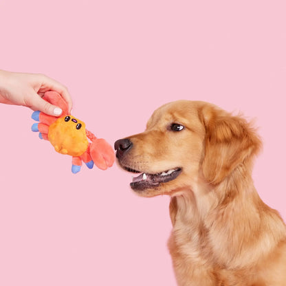 ClawMate – Sally the Crab Plush Dog Toy