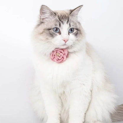 PawBlossom – Camellia Flower Pet Collar