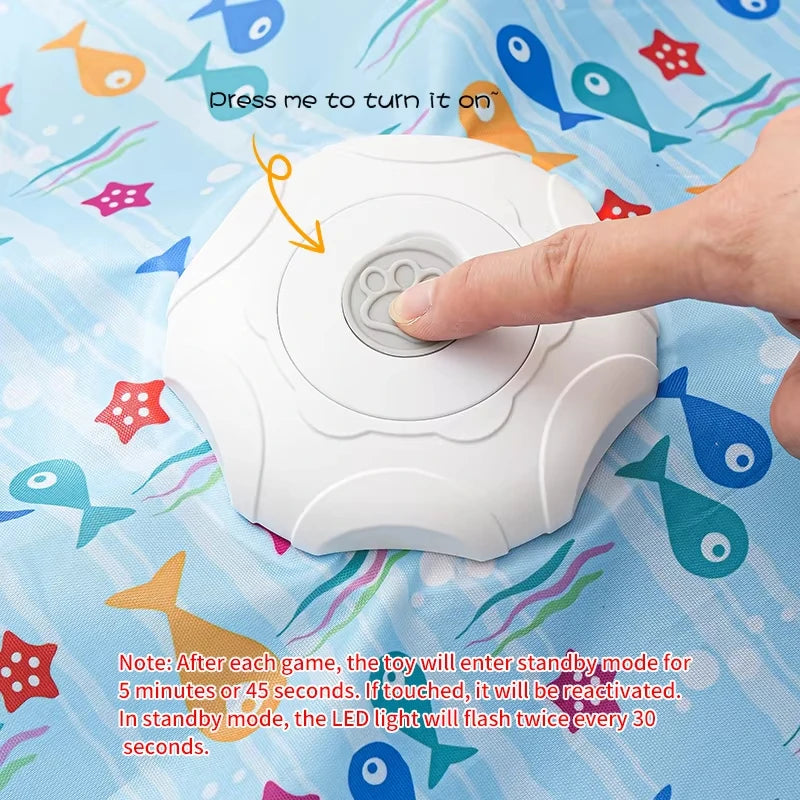 Whiskora – Interactive Cat Toy Kit