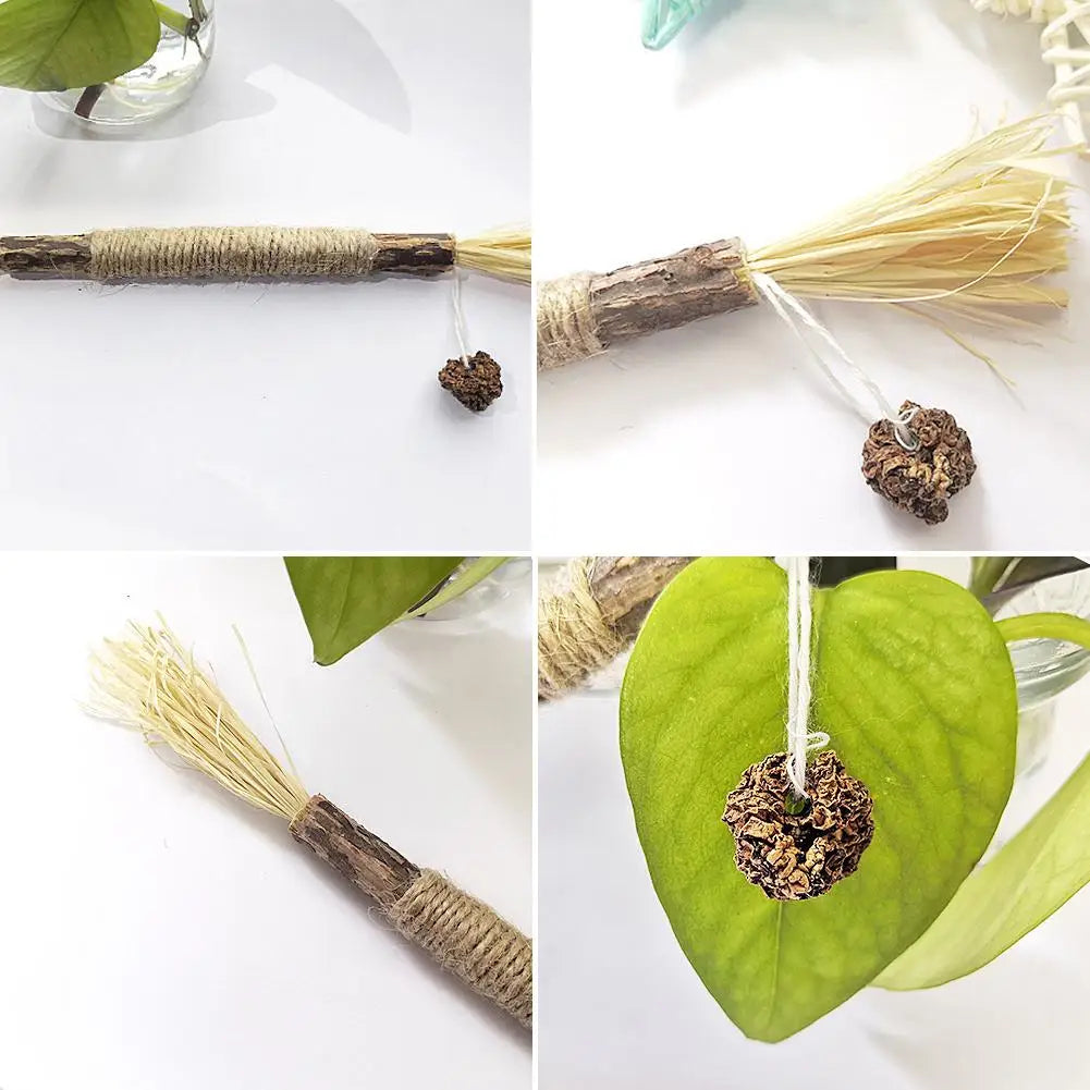 Nibblenest – Catnip Chew Stick Kit
