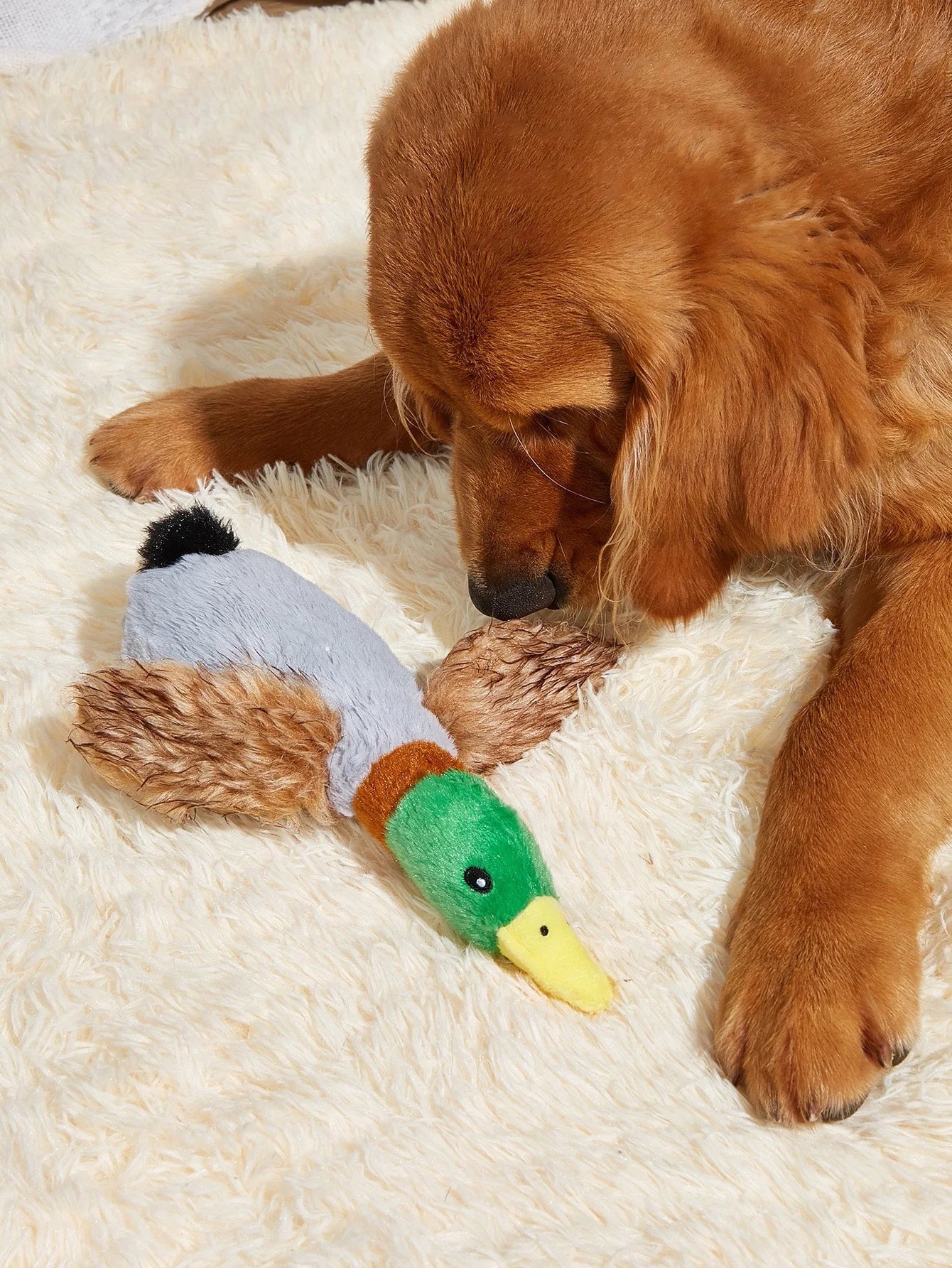 Quackura – Plush Wild Duck Dog Toy