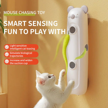 Caterora – Electric Interactive Pet Toy