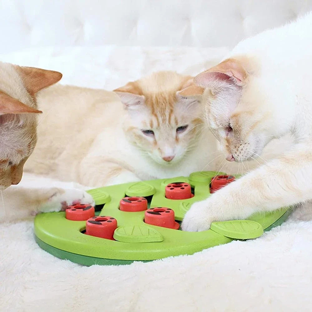 Puzzicat – Interactive Cat Treat Puzzle Toy