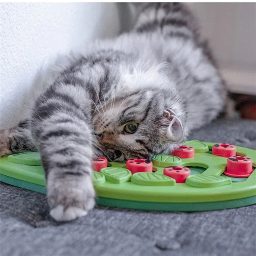 Puzzicat – Interactive Cat Treat Puzzle Toy