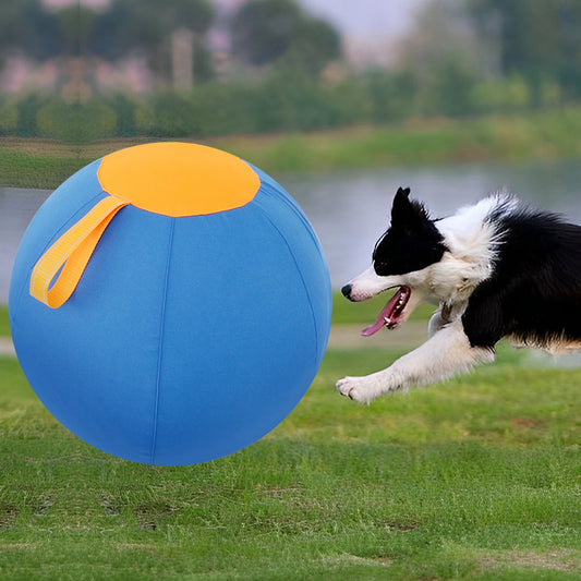 Bally – Interactive Herding Dog Toy