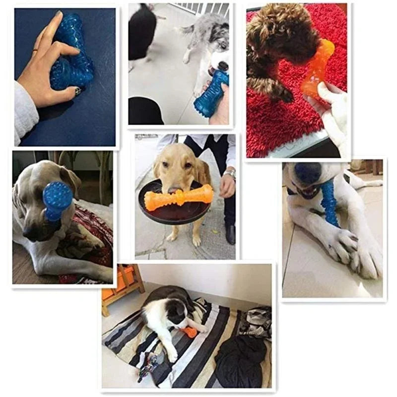 Biterra – Sturdy Rubber Dog Bone Chew Toy